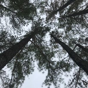 Meet your Posher, Deanna